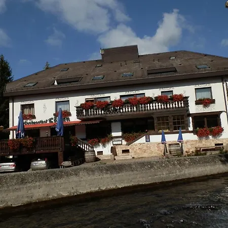 Landhotel Lowen Hotel 3*